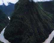 米林明天天气