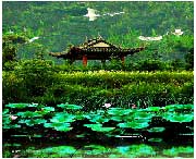 蔡甸天气预报60天